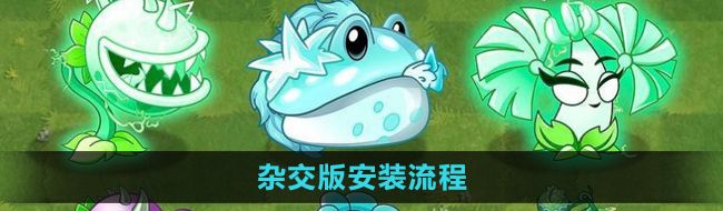 《植物大战僵尸杂交版》安装流程