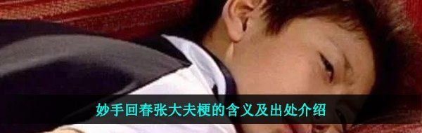 妙手回春张大夫梗的含义及出处介绍