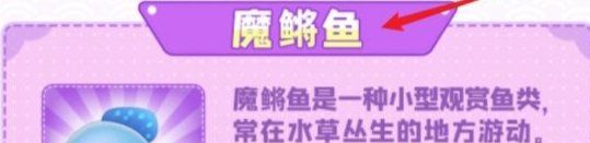 《摩尔庄园》下雨天钓取鱼类介绍